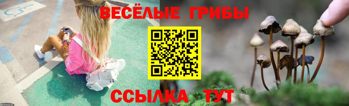 Тюмень  Галлюциногенные грибы Psilocybe  купить наркотик  Вход с VPN 